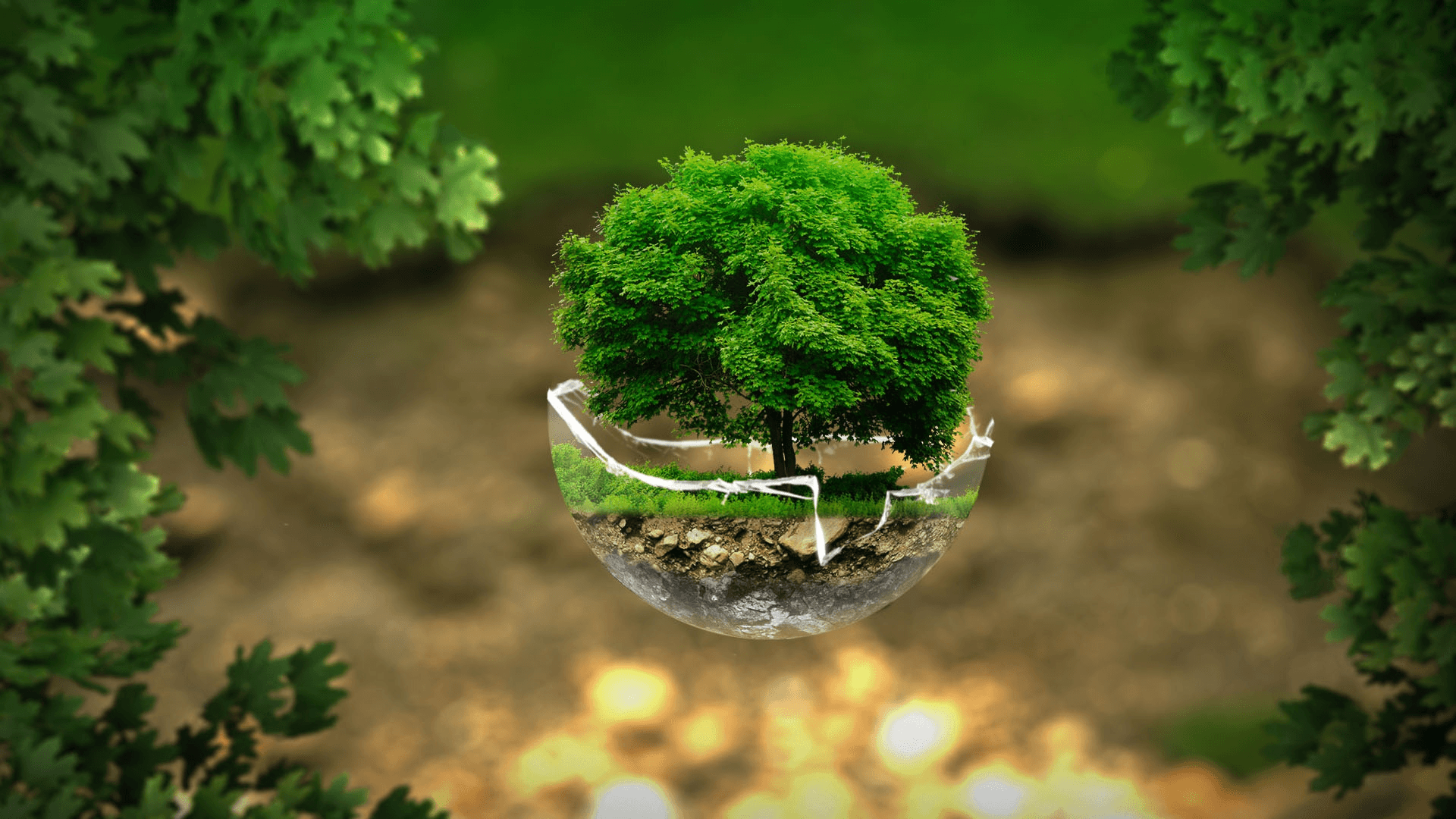 header img